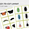 Insects shadow matching cards. Montessori-based bugs learning activity.