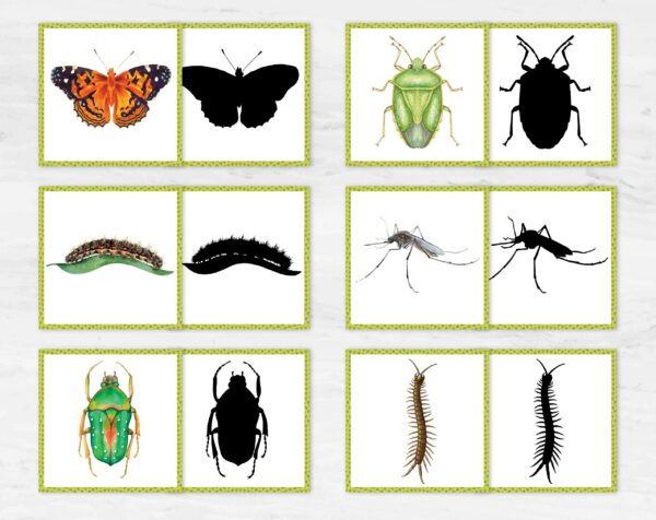 Insects shadow matching cards. Montessori-based bugs learning activity.