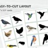 Watercolor Bird Shadow Matching Cards: Montessori Printable (PDF Download)