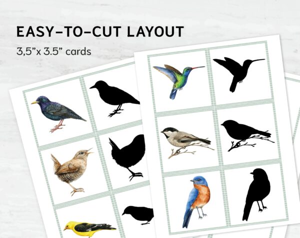 Watercolor Bird Shadow Matching Cards: Montessori Printable (PDF Download)