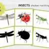 Insects shadow matching cards. Montessori-based bugs learning activity.