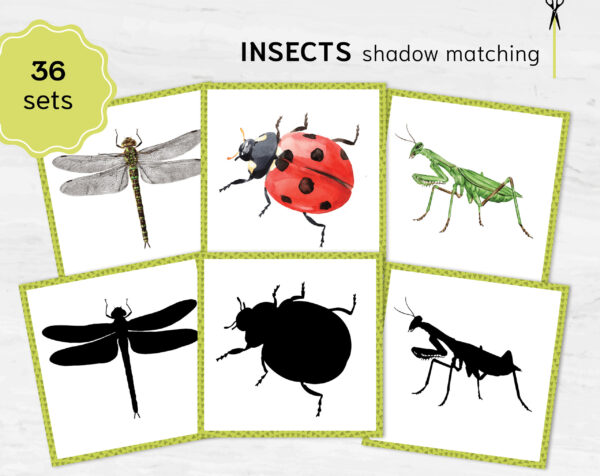 Insects shadow matching cards. Montessori-based bugs learning activity.