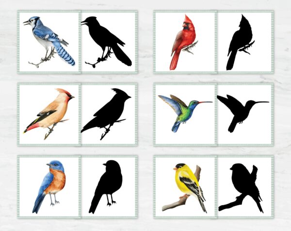 Watercolor Bird Shadow Matching Cards: Montessori Printable (PDF Download)