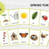 Printable Spring Flashcards: Montessori Vocabulary Materials for Preschool in Watercolor