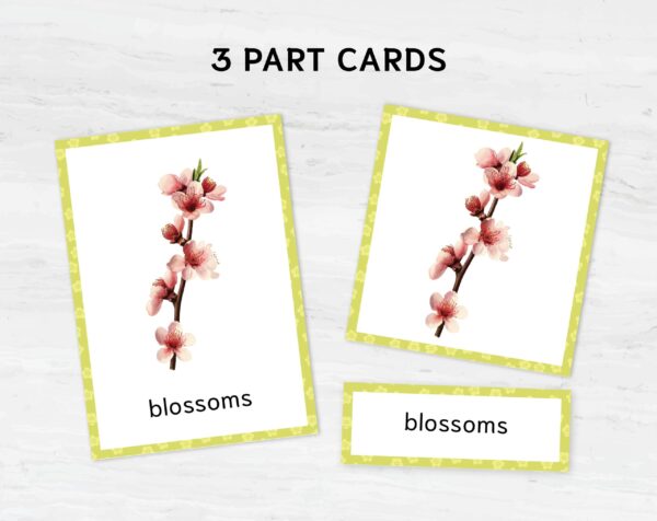Printable Spring Flashcards: Montessori Vocabulary Materials for Preschool in Watercolor