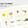 Printable Spring Flashcards: Montessori Vocabulary Materials for Preschool in Watercolor