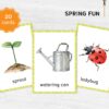 Printable Spring Flashcards: Montessori Vocabulary Materials for Preschool in Watercolor