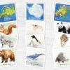 Animals Continents Matching Adventure. Printable Montessori Geographic Exploration. BONUS: 7 continents posters.