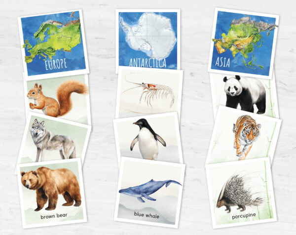 Animals Continents Matching Adventure. Printable Montessori Geographic Exploration. BONUS: 7 continents posters.