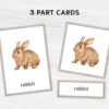 Watercolor Farm Animal Flashcards. Printable Montessori Material with Nomenclature Vocabulary Card