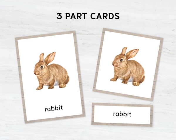 Watercolor Farm Animal Flashcards. Printable Montessori Material with Nomenclature Vocabulary Card