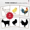 Farm Animal Shadows: Barnyard Montessori Matching Activity, Livestock Silhouette Flashcards