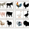 Farm Animal Shadows: Barnyard Montessori Matching Activity, Livestock Silhouette Flashcards
