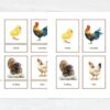 Watercolor Farm Animal Flashcards. Printable Montessori Material with Nomenclature Vocabulary Card