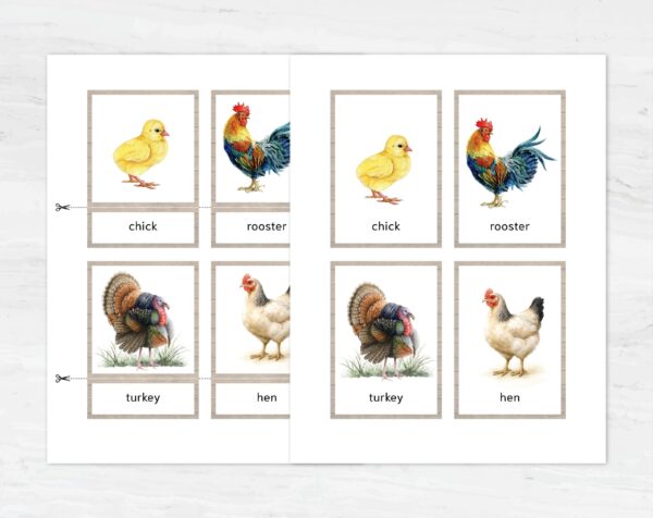 Watercolor Farm Animal Flashcards. Printable Montessori Material with Nomenclature Vocabulary Card