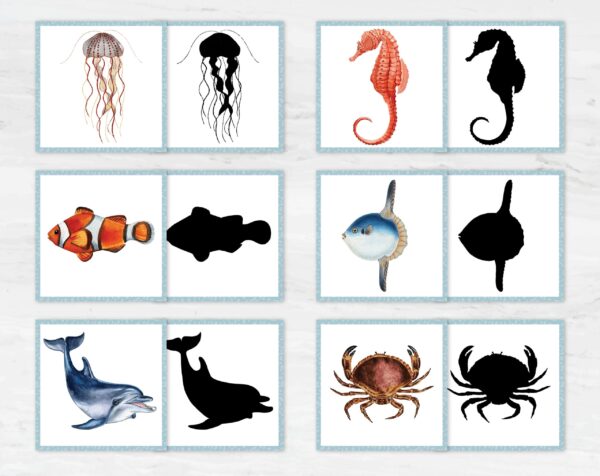 Ocean shadow matching cards. Printable Watercolor sea animal cards. Montessori Educational Materials.