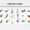 Spring Sorting Game: Montessori Math, Flowers, Birds, Insects (Printable)
