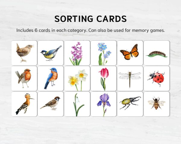 Spring Sorting Game: Montessori Math, Flowers, Birds, Insects (Printable)