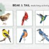 Bird Halves Matching Game: Montessori Toddler Activity (Digital Download)