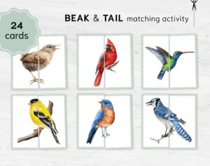 Bird Halves Matching Game: Montessori Toddler Activity (Digital Download)