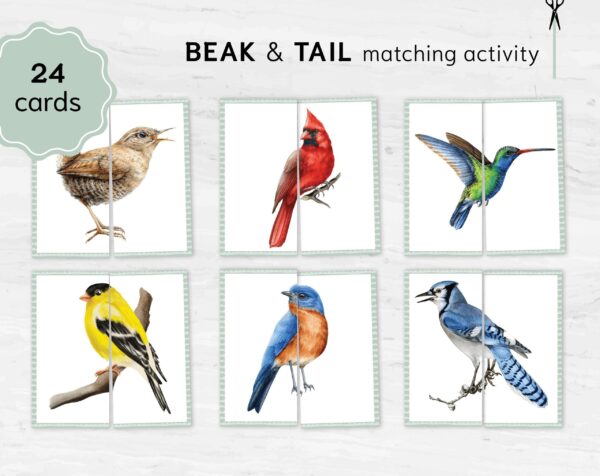 Bird Halves Matching Game: Montessori Toddler Activity (Digital Download)