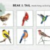 Bird Halves Matching Game: Montessori Toddler Activity (Digital Download)