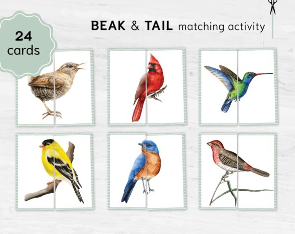 Bird Halves Matching Game: Montessori Toddler Activity (Digital Download)