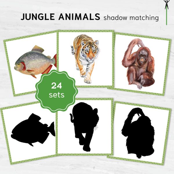 Rainforest Animal Shadow Matching: Jungle Montessori Match Activity, Exotic Wildlife Silhouette Game