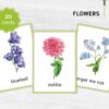 Printable Flower Flashcards - Montessori Educational Homeschooling Materials - Watercolor 3-part Learning Cards