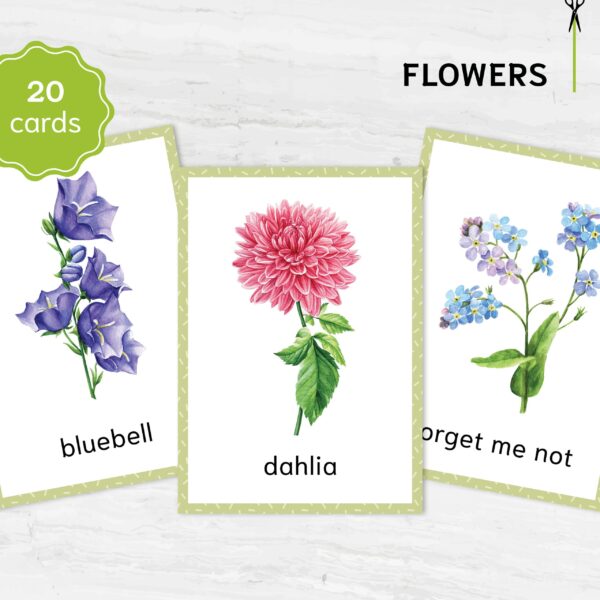 Printable Flower Flashcards - Montessori Educational Homeschooling Materials - Watercolor 3-part Learning Cards