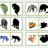 Rainforest Animal Shadow Matching: Jungle Montessori Match Activity, Exotic Wildlife Silhouette Game