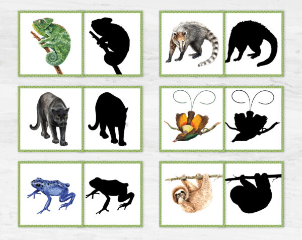 Rainforest Animal Shadow Matching: Jungle Montessori Match Activity, Exotic Wildlife Silhouette Game