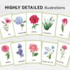 Printable Flower Flashcards - Montessori Educational Homeschooling Materials - Watercolor 3-part Learning Cards