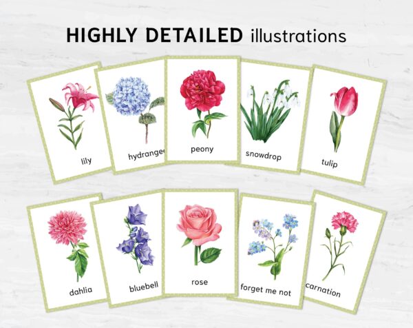 Printable Flower Flashcards - Montessori Educational Homeschooling Materials - Watercolor 3-part Learning Cards