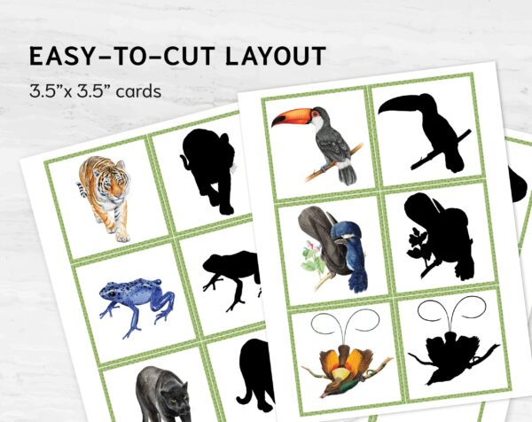 Rainforest Animal Shadow Matching: Jungle Montessori Match Activity, Exotic Wildlife Silhouette Game