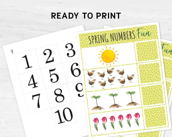 Spring Numbers Count & Match Activity | Kindergarten Number Recognition | Printable Counting Game for Preschool Math