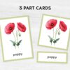 Printable Flower Flashcards - Montessori Educational Homeschooling Materials - Watercolor 3-part Learning Cards