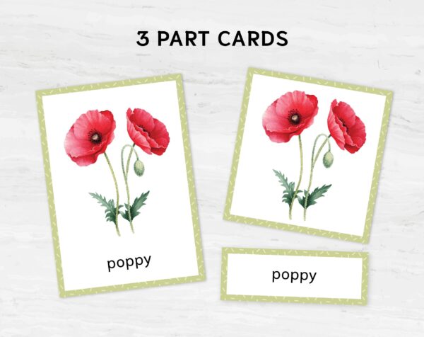 Printable Flower Flashcards - Montessori Educational Homeschooling Materials - Watercolor 3-part Learning Cards