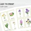 Printable Flower Flashcards - Montessori Educational Homeschooling Materials - Watercolor 3-part Learning Cards