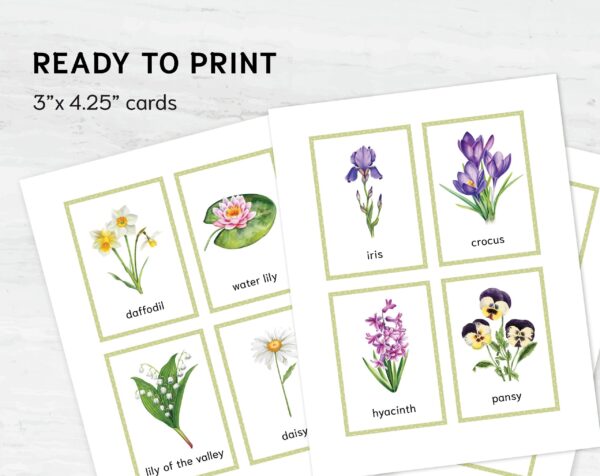 Printable Flower Flashcards - Montessori Educational Homeschooling Materials - Watercolor 3-part Learning Cards