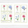 Printable Flower Flashcards - Montessori Educational Homeschooling Materials - Watercolor 3-part Learning Cards