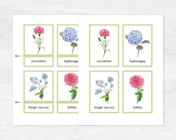 Printable Flower Flashcards - Montessori Educational Homeschooling Materials - Watercolor 3-part Learning Cards