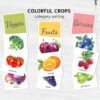 Watercolor Produce Sorting Activity: Montessori Preschool Printable (PDF Download)