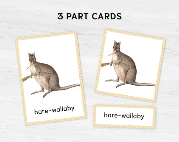 Colorful Australian Animals Flashcards for Montessori Education - Nomenclature Learning Cards for Homeschooling