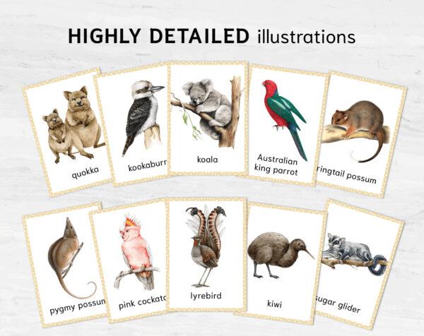 Colorful Australian Animals Flashcards for Montessori Education - Nomenclature Learning Cards for Homeschooling