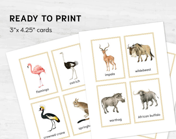 Colorful Australian Animals Flashcards for Montessori Education - Nomenclature Learning Cards for Homeschooling
