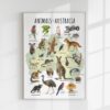 Animals of Australia Educational Poster – Watercolor Wildlife Map | Montessori & Homeschool Printable