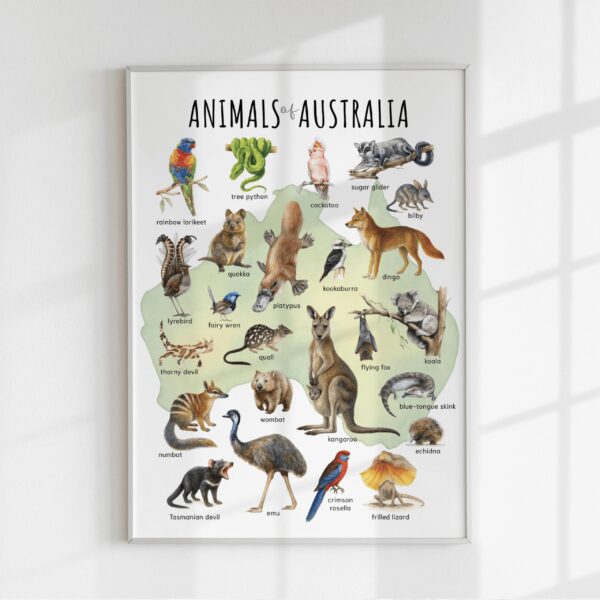 Animals of Australia Educational Poster – Watercolor Wildlife Map | Montessori & Homeschool Printable
