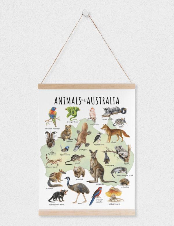 Animals of Australia Educational Poster – Watercolor Wildlife Map | Montessori & Homeschool Printable