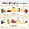 Watercolor Fruit Flashcards - Montessori Vibrant Learning Set, Printable Kids Vocabulary Cards for Homeschooling & Learning
